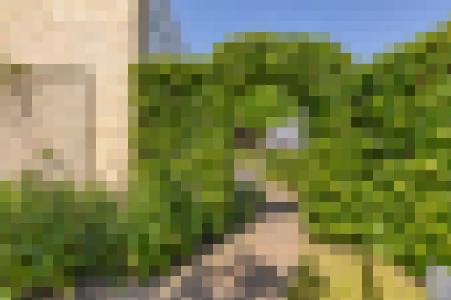 Cassinstraat 17 Middelburg thumbnail 36