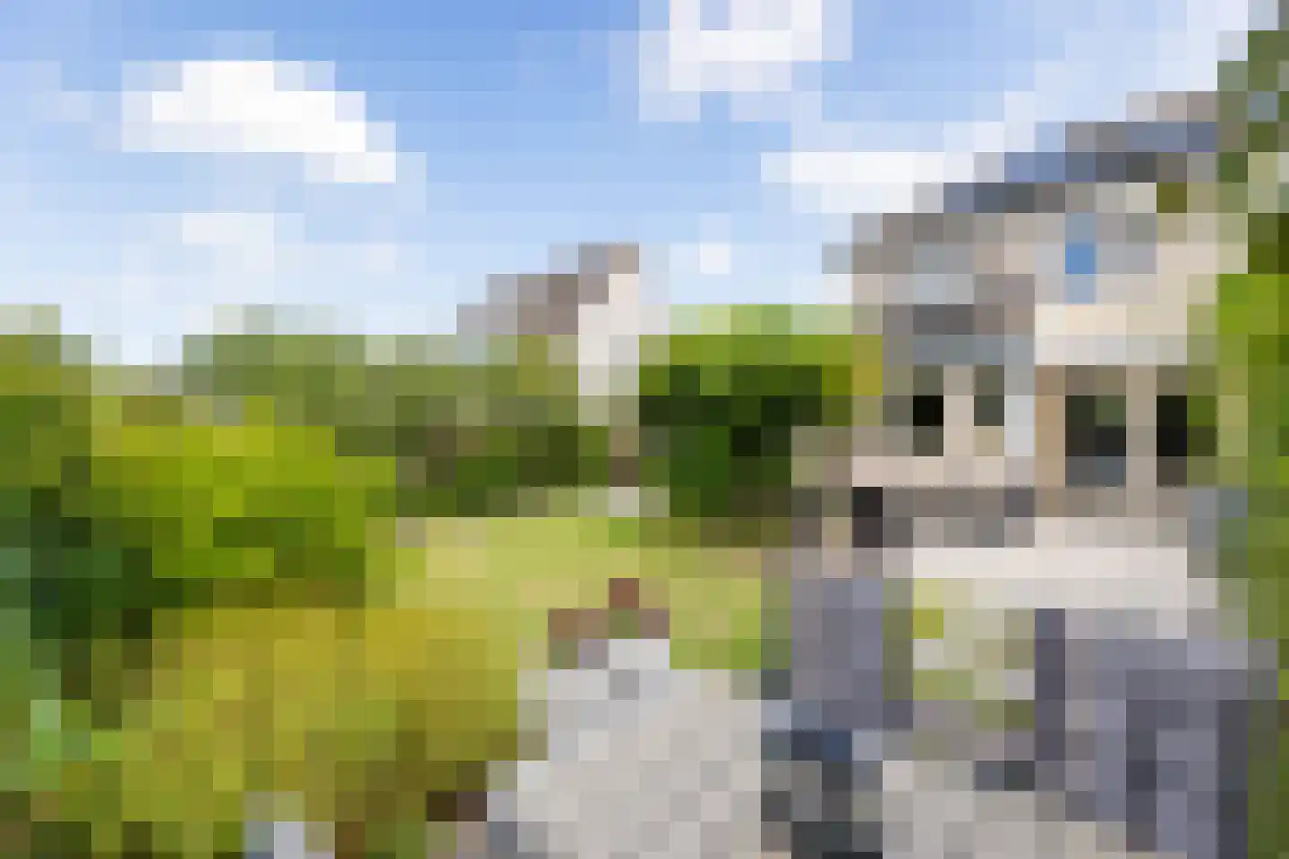 Cassinstraat 18 Middelburg thumbnail 21