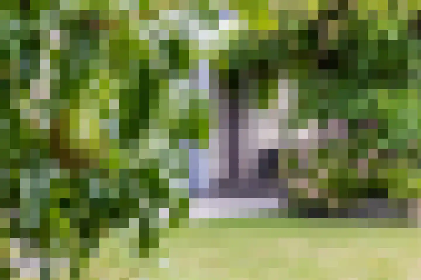 Cassinstraat 18 Middelburg thumbnail 28