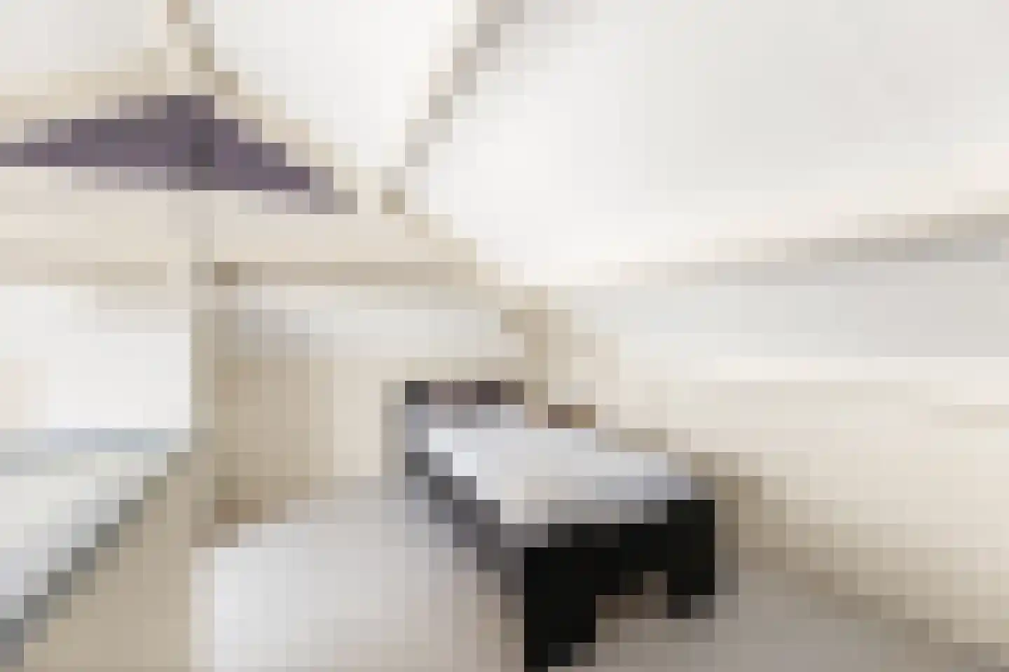 Cassinstraat 18 Middelburg thumbnail 44