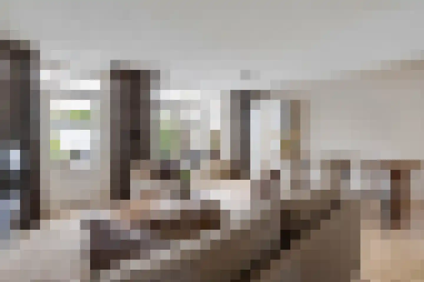 Castaert 47 Oirschot thumbnail 10