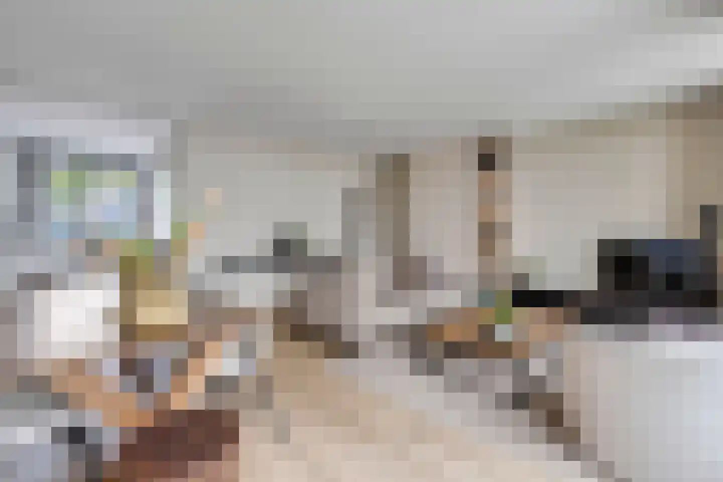Castaert 47 Oirschot thumbnail 11