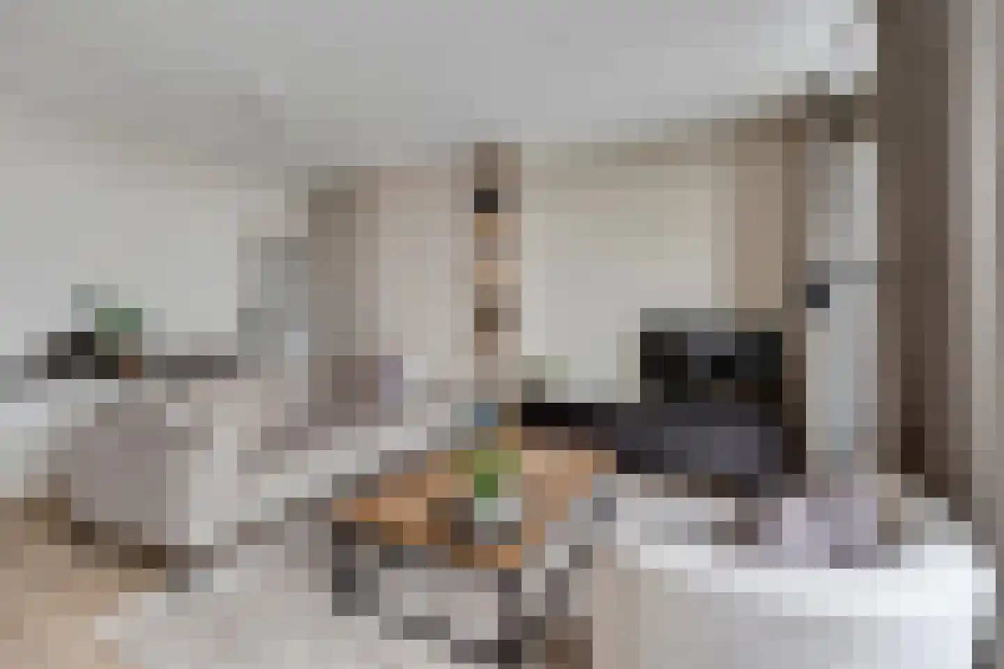 Castaert 47 Oirschot thumbnail 12
