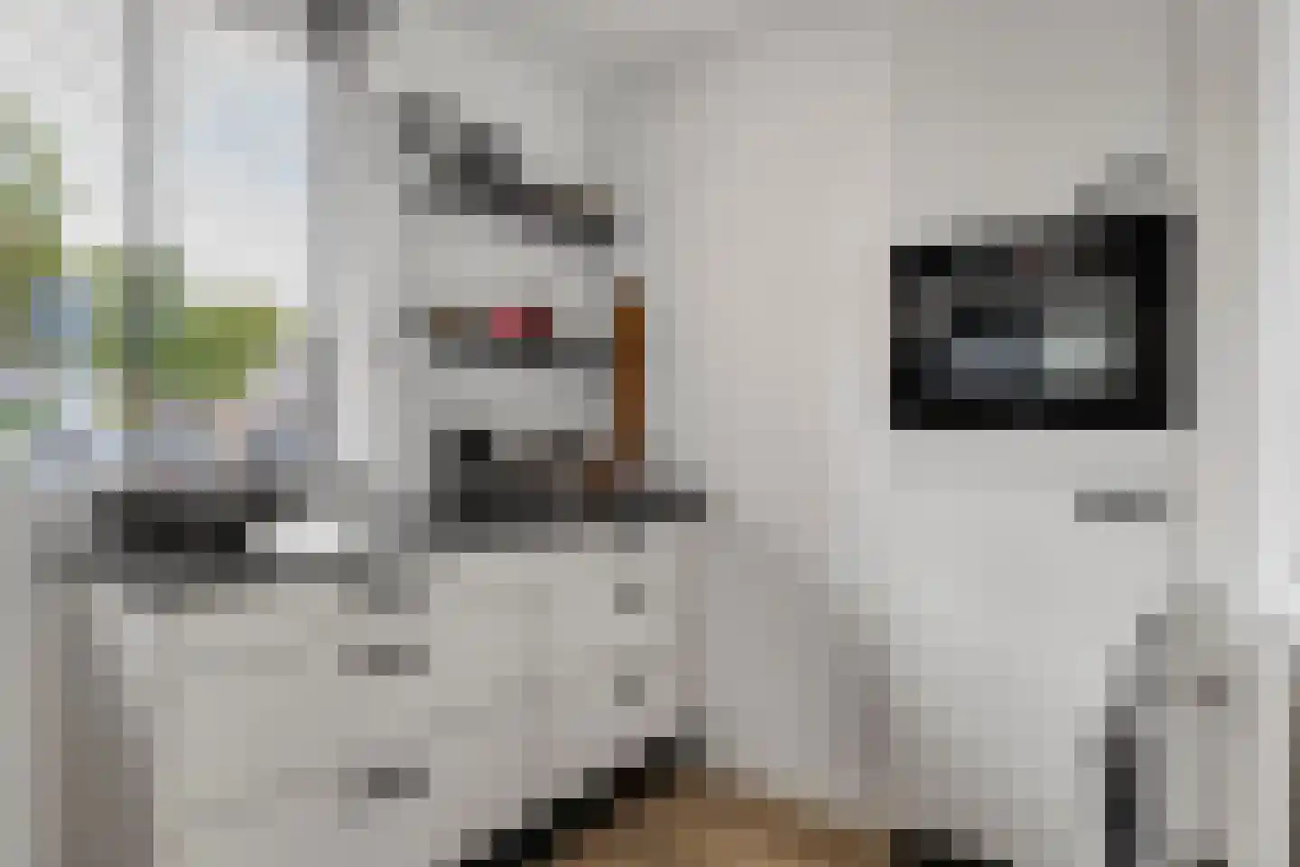 Castaert 47 Oirschot thumbnail 18