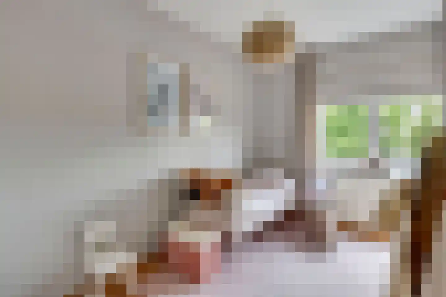 Castaert 47 Oirschot thumbnail 23