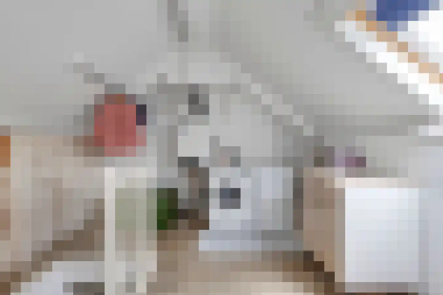 Castaert 47 Oirschot thumbnail 29