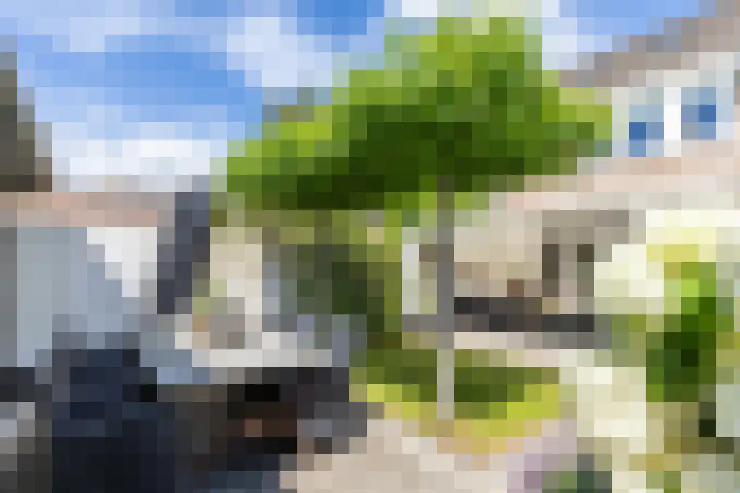 Castaert 47 Oirschot thumbnail 39