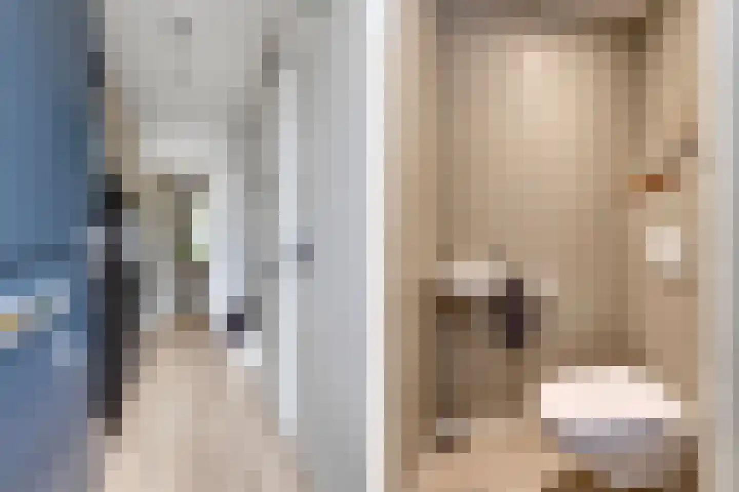 Castaert 47 Oirschot thumbnail 8