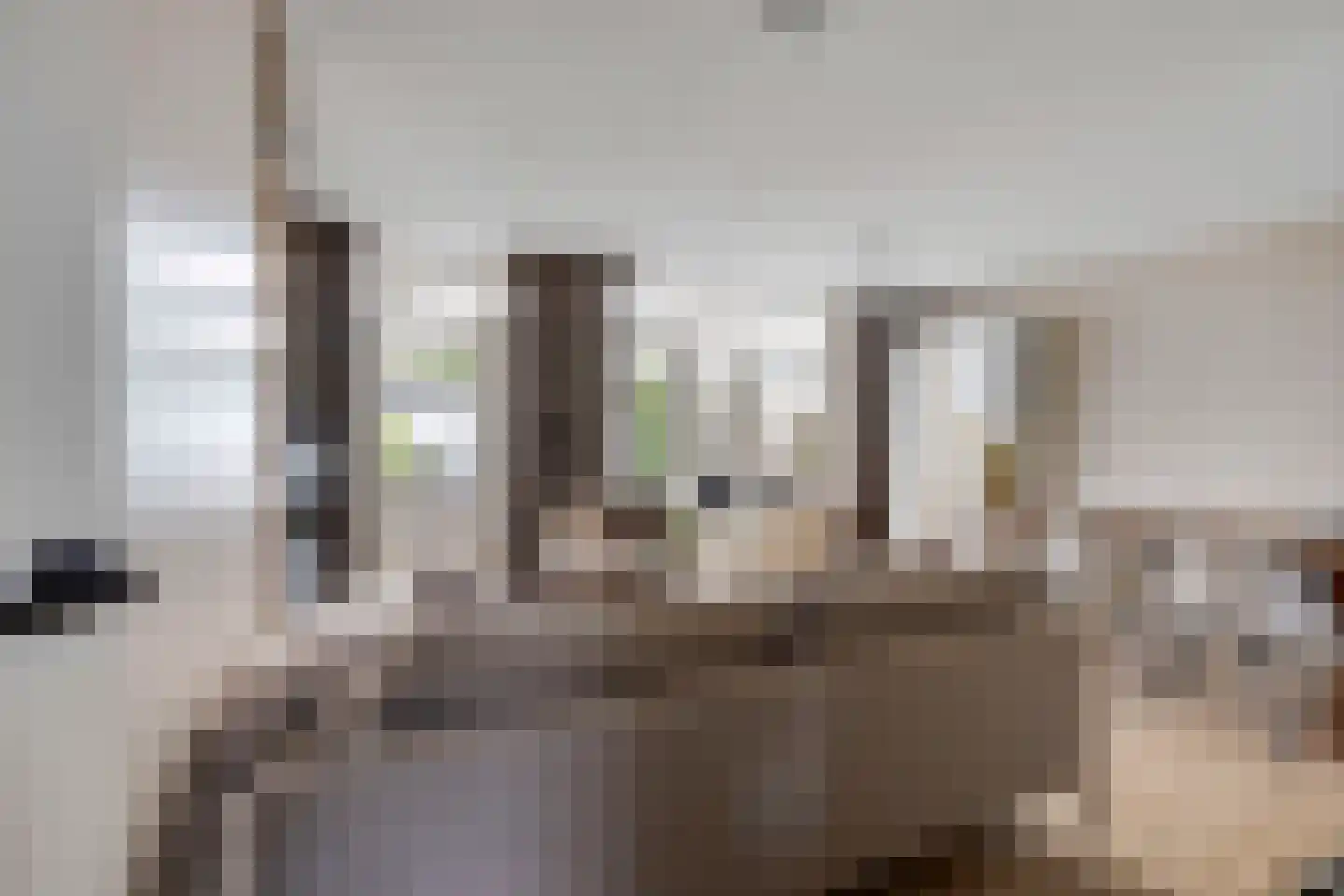 Castaert 47 Oirschot thumbnail 9