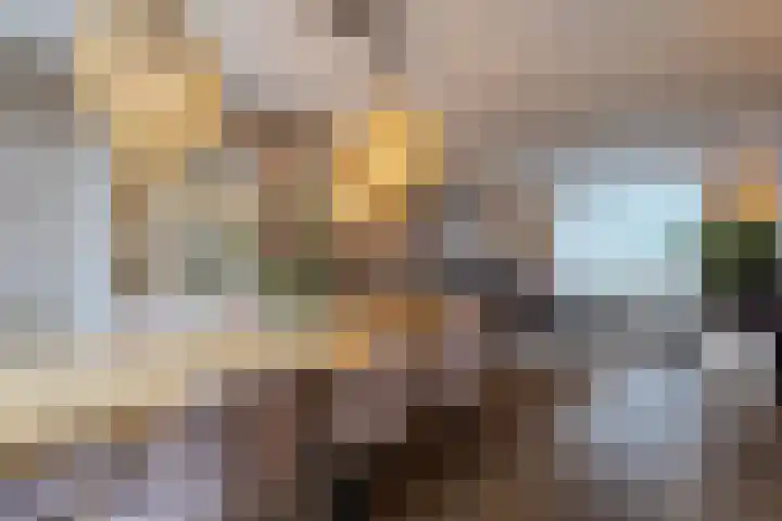 Castaert 48 Oirschot thumbnail 11