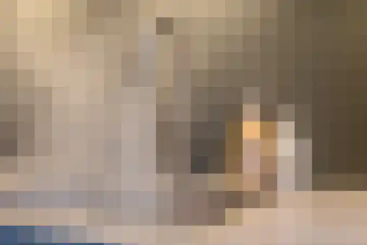Castaert 48 Oirschot thumbnail 15