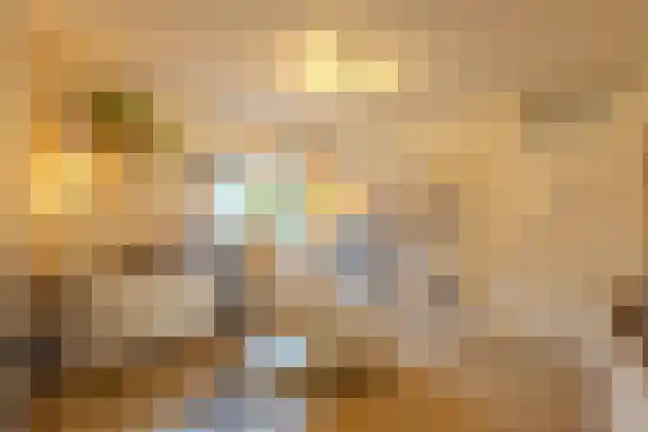 Castaert 48 Oirschot thumbnail 17