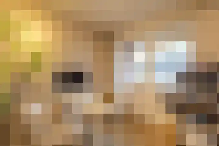 Castaert 48 Oirschot thumbnail 18
