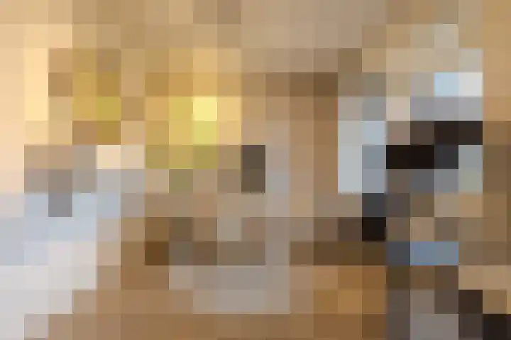Castaert 48 Oirschot thumbnail 19