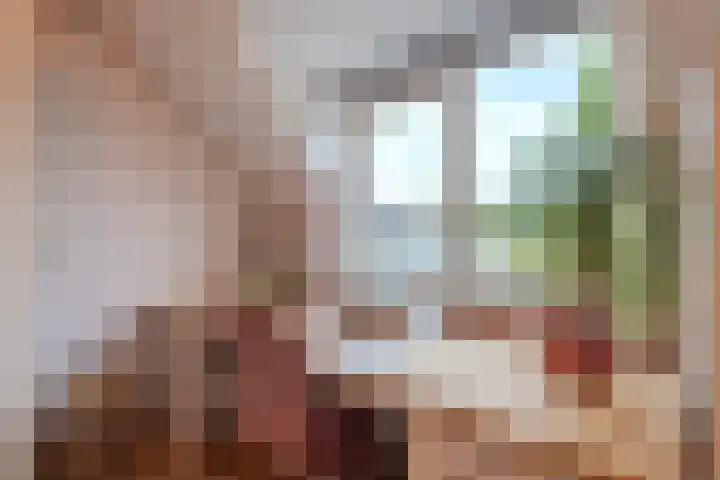 Castaert 48 Oirschot thumbnail 22