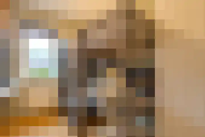 Castaert 48 Oirschot thumbnail 23