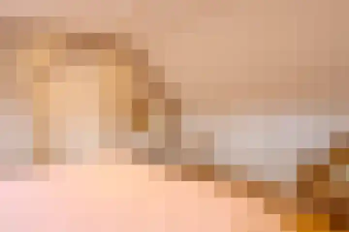 Castaert 48 Oirschot thumbnail 27