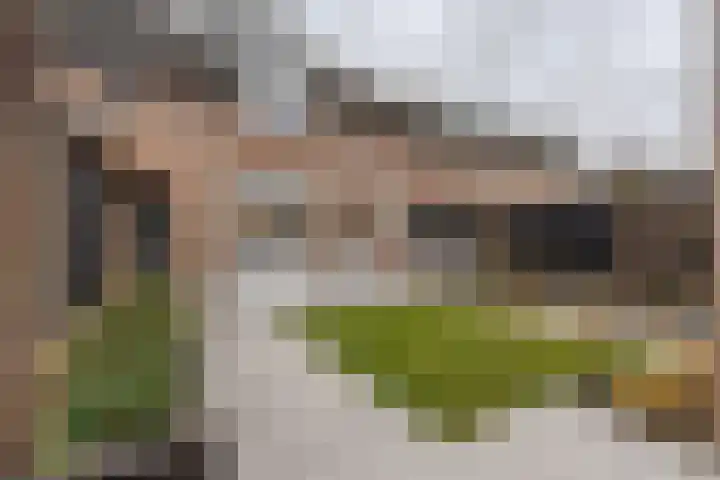 Castaert 48 Oirschot thumbnail 28