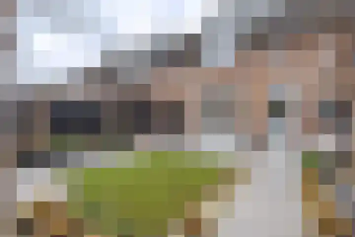 Castaert 48 Oirschot thumbnail 30