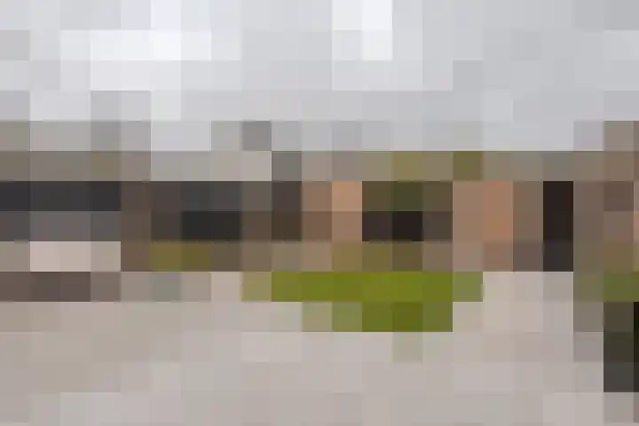 Castaert 48 Oirschot thumbnail 32