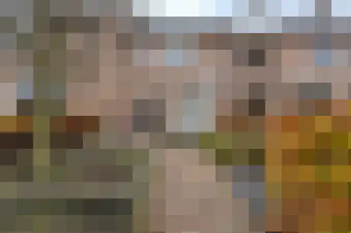 Castaert 48 Oirschot thumbnail 34