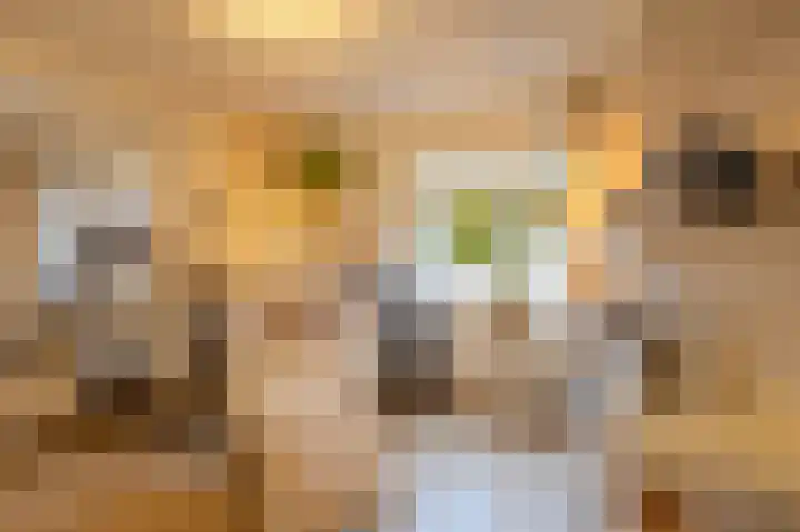 Castaert 48 Oirschot thumbnail 4
