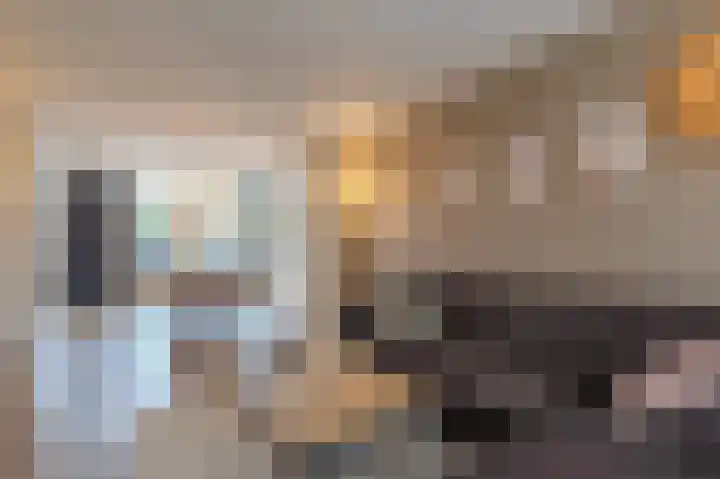 Castaert 48 Oirschot thumbnail 7