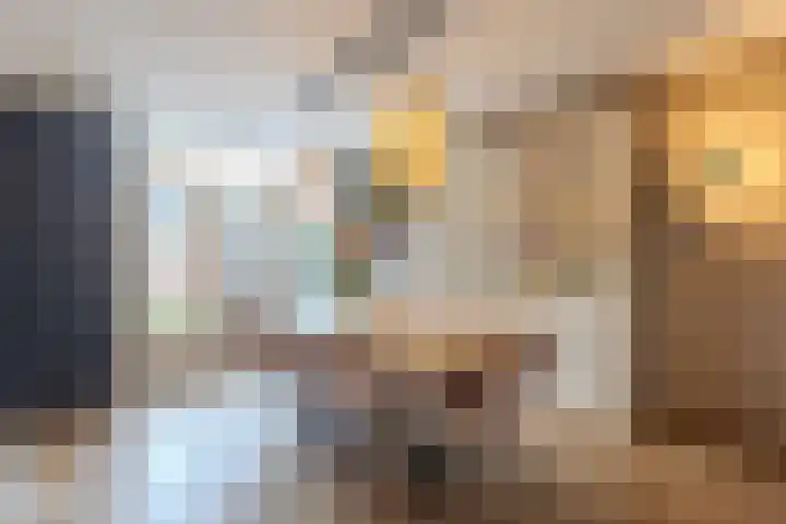 Castaert 48 Oirschot thumbnail 8