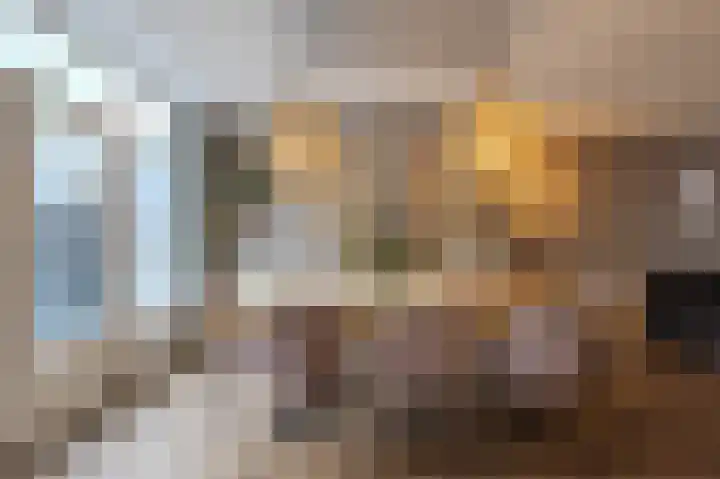 Castaert 48 Oirschot thumbnail 9