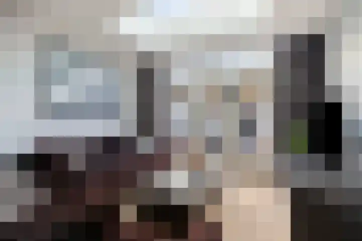 Castaert 55 Oirschot thumbnail 14