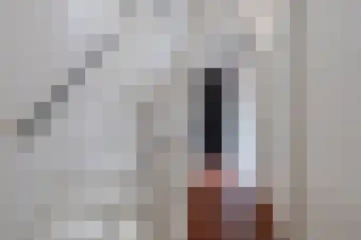 Castaert 55 Oirschot thumbnail 21