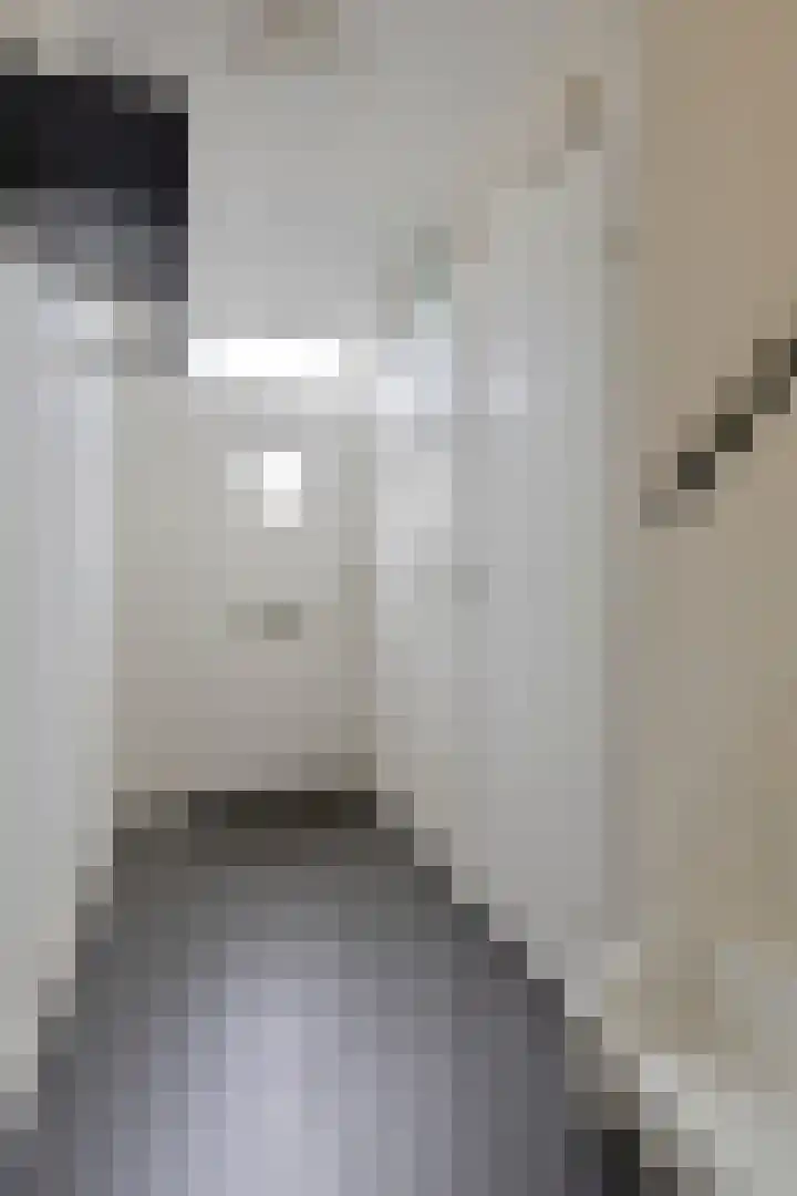 Castaert 55 Oirschot thumbnail 8