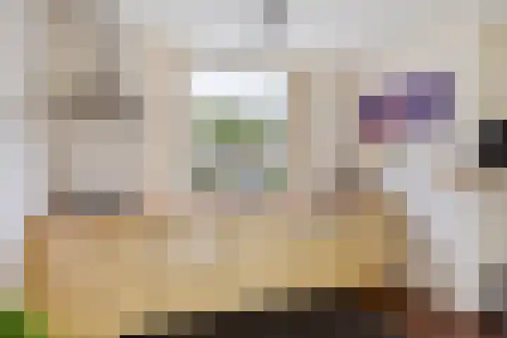 Castaert 59 Oirschot thumbnail 14