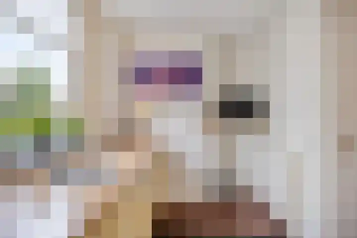 Castaert 59 Oirschot thumbnail 15