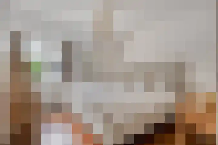 Castaert 59 Oirschot thumbnail 18