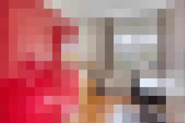 Castaert 59 Oirschot thumbnail 20