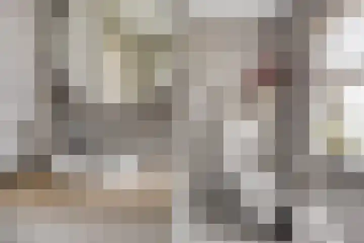 Castaert 59 Oirschot thumbnail 25