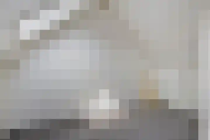 Castaert 59 Oirschot thumbnail 27