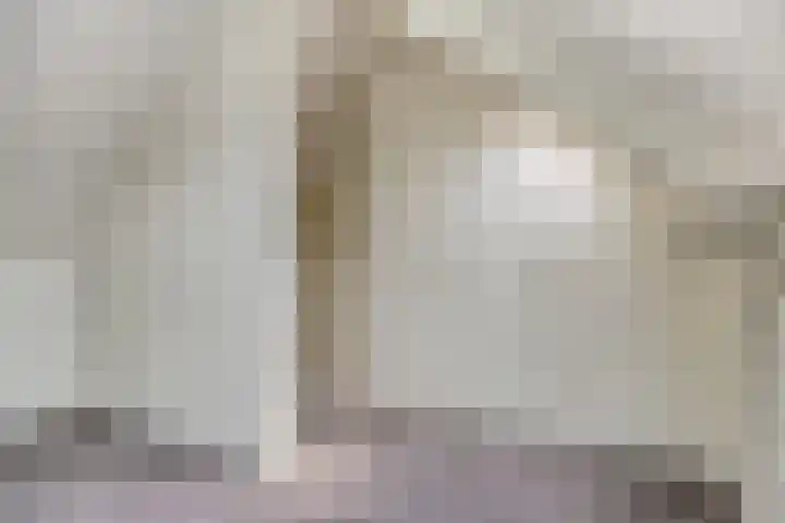 Castaert 59 Oirschot thumbnail 30