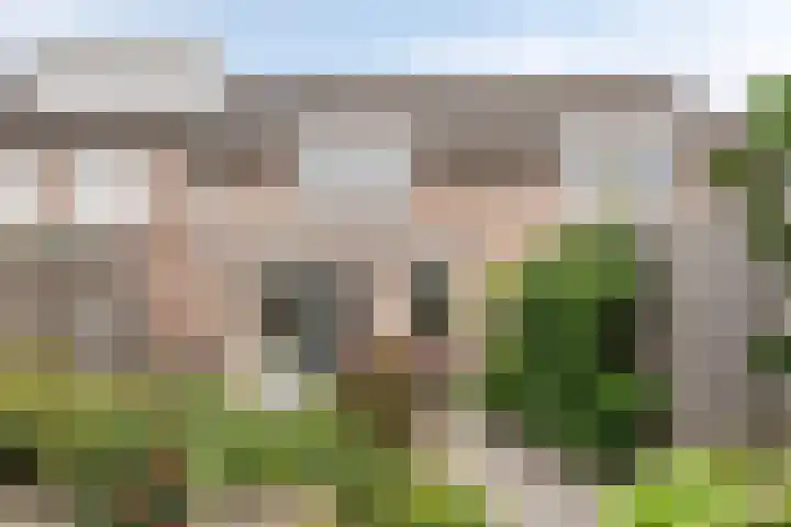 Castaert 59 Oirschot thumbnail 32