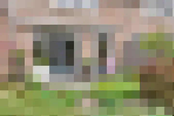 Castaert 59 Oirschot thumbnail 33