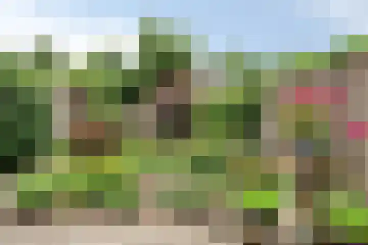 Castaert 59 Oirschot thumbnail 4