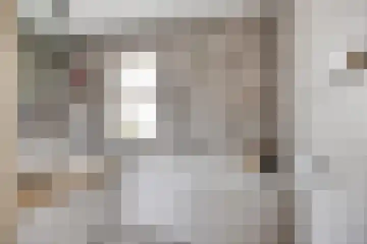 Castaert 59 Oirschot thumbnail 5