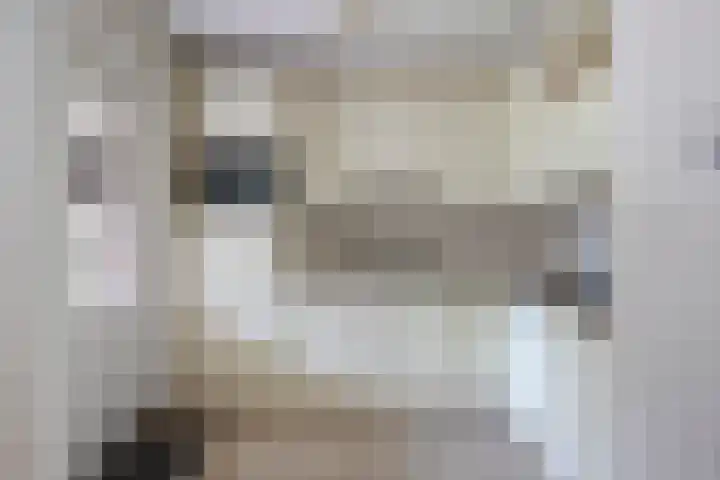 Castaert 6 Oirschot thumbnail 15