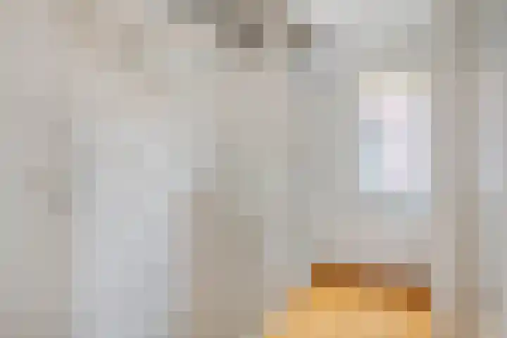 Castaert 6 Oirschot thumbnail 17
