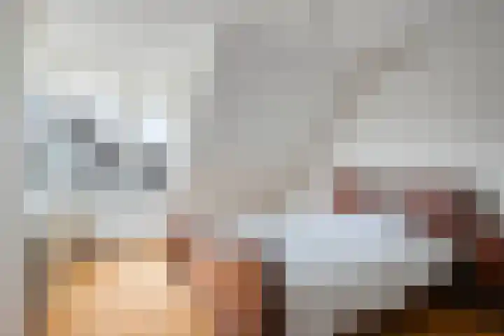 Castaert 6 Oirschot thumbnail 19