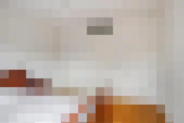 Castaert 6 Oirschot thumbnail 20