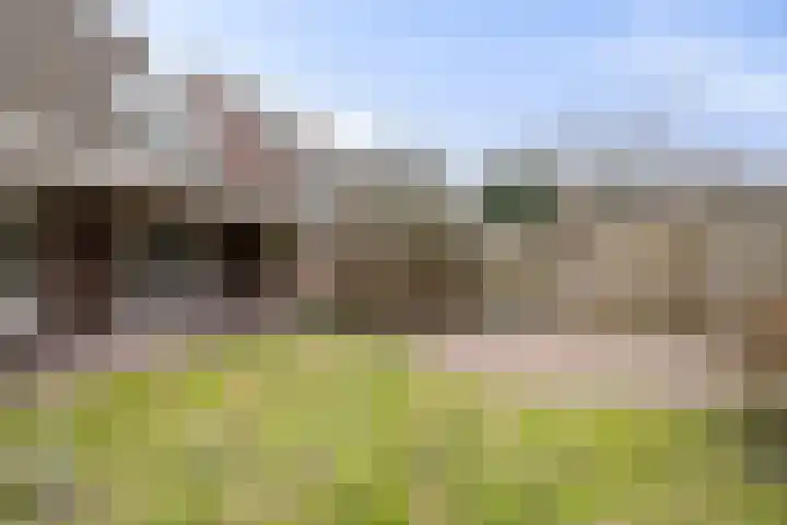 Castaert 6 Oirschot thumbnail 33