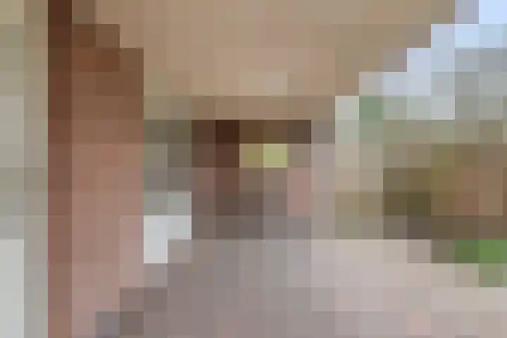 Castaert 6 Oirschot thumbnail 34