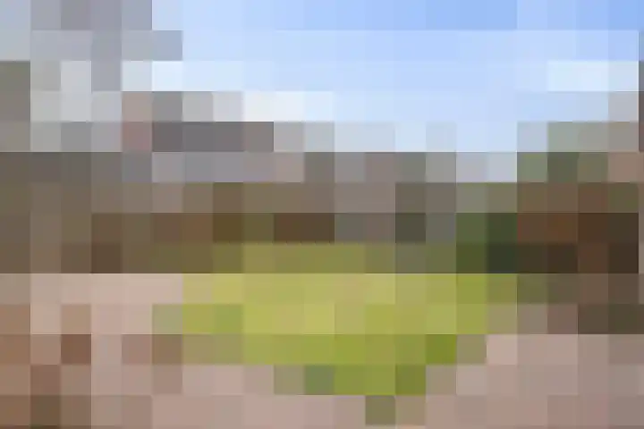 Castaert 6 Oirschot thumbnail 5